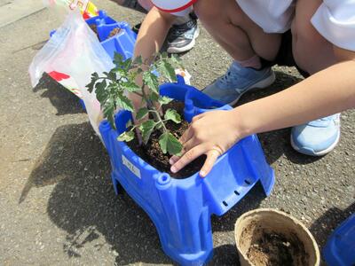 「おいしい野菜ができるかな？」